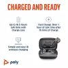HP Poly Voyager Free 60 UC M Carbon Schwarz Earbuds +BT700 USB-C Adapter +Basic Charge Case