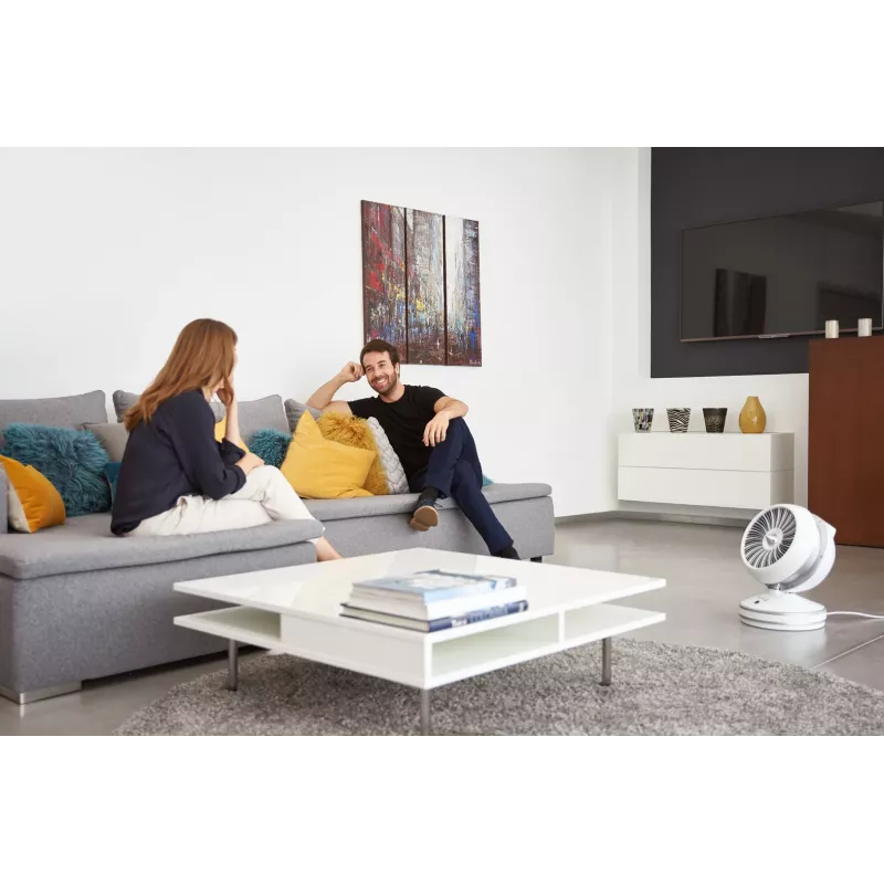 Rowenta HQ7152 Innenbereich Weiß, Silber Ventilator elektrischer Raumheizer