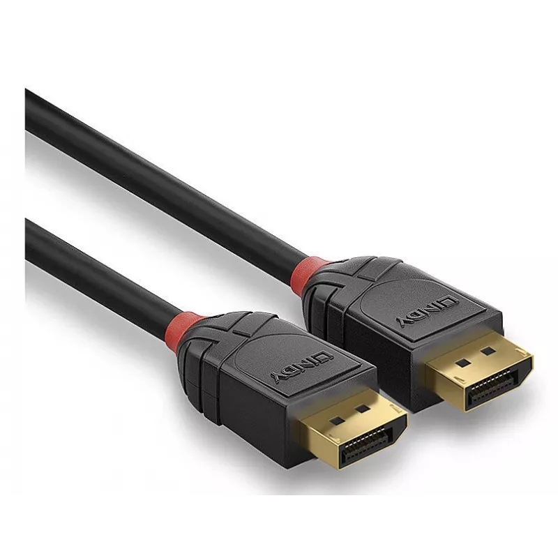 Lindy 36515 DisplayPort-Kabel 0,5 m Schwarz