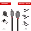 Lindy 1m USB 3.2 Typ C auf Micro-B Kabel, Anthra Line, 1 m, USB C, Micro-USB B, USB 3.2 Gen 1 (3.1 Gen 1), Schwarz