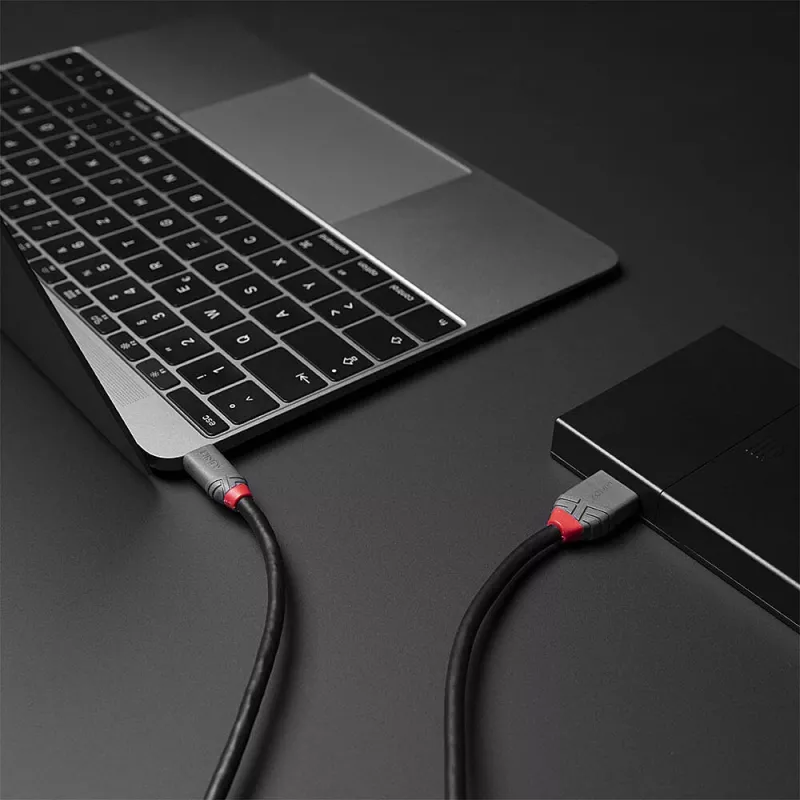Lindy 2m USB 3.2 Typ C auf Micro-B Kabel, Anthra Line, 2 m, USB C, Micro-USB B, USB 3.2 Gen 1 (3.1 Gen 1), Schwarz