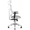 Ergonomischer Bürostuhl Diablo Chairs V-Basic Weiß-Grau – verstellbare Höhe und Neigung, Armlehnen, Lendenwirbelstütze