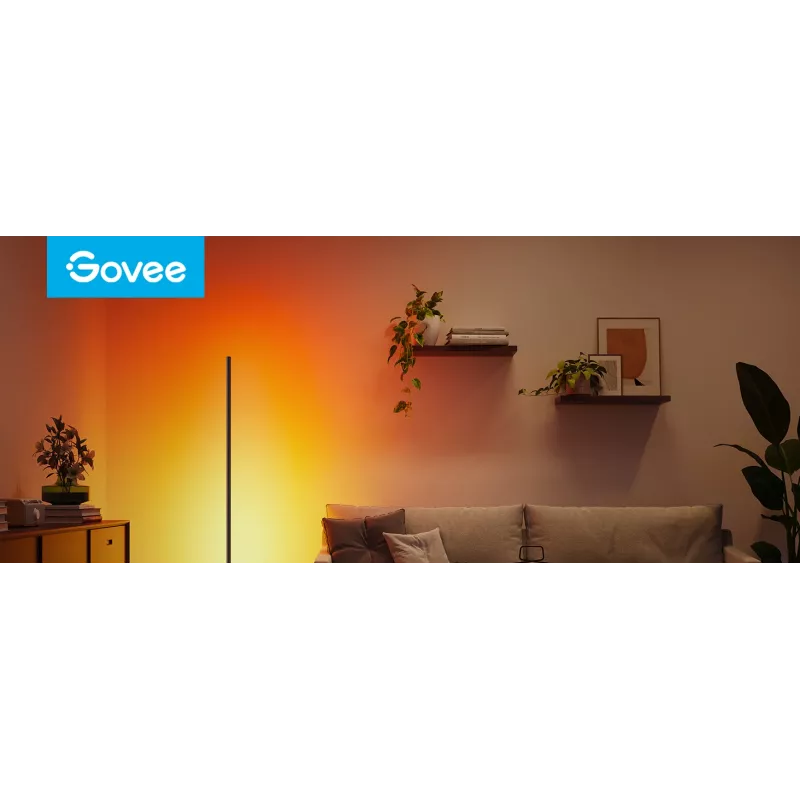 Govee Stehlampe 2, Matter-fähig, schwarz