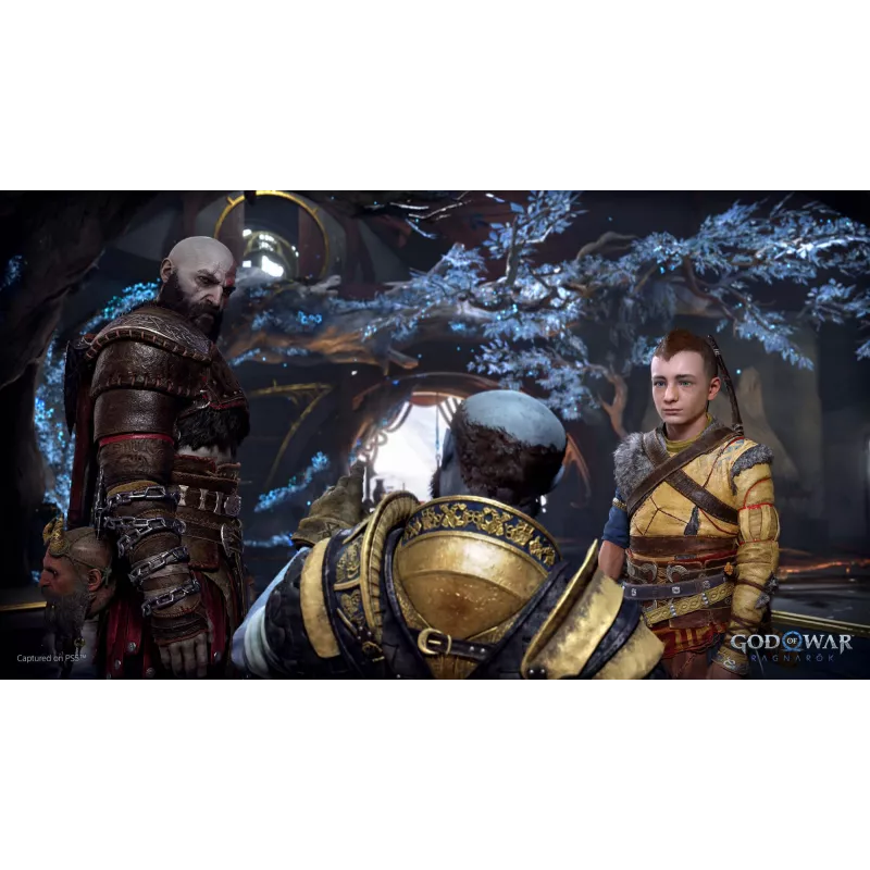 Sony God of War Ragnarök, PlayStation 5, M (Mature), Physischer Datenträger
