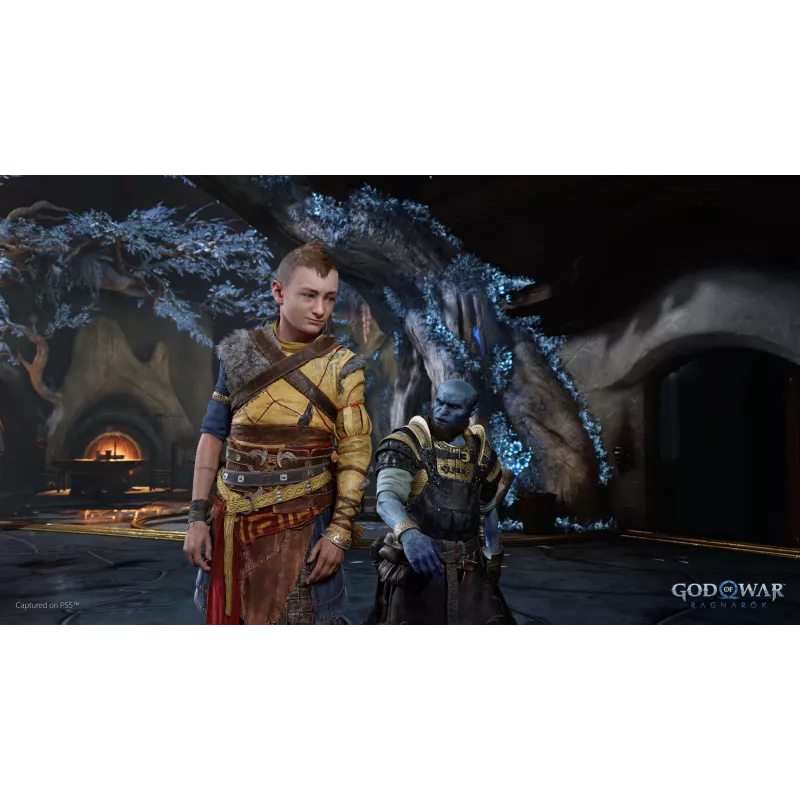 Sony God of War Ragnarök, PlayStation 5, M (Mature), Physischer Datenträger