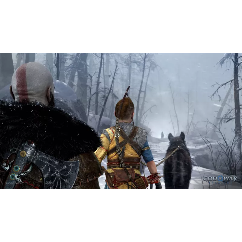 Sony God of War Ragnarök, PlayStation 5, M (Mature), Physischer Datenträger