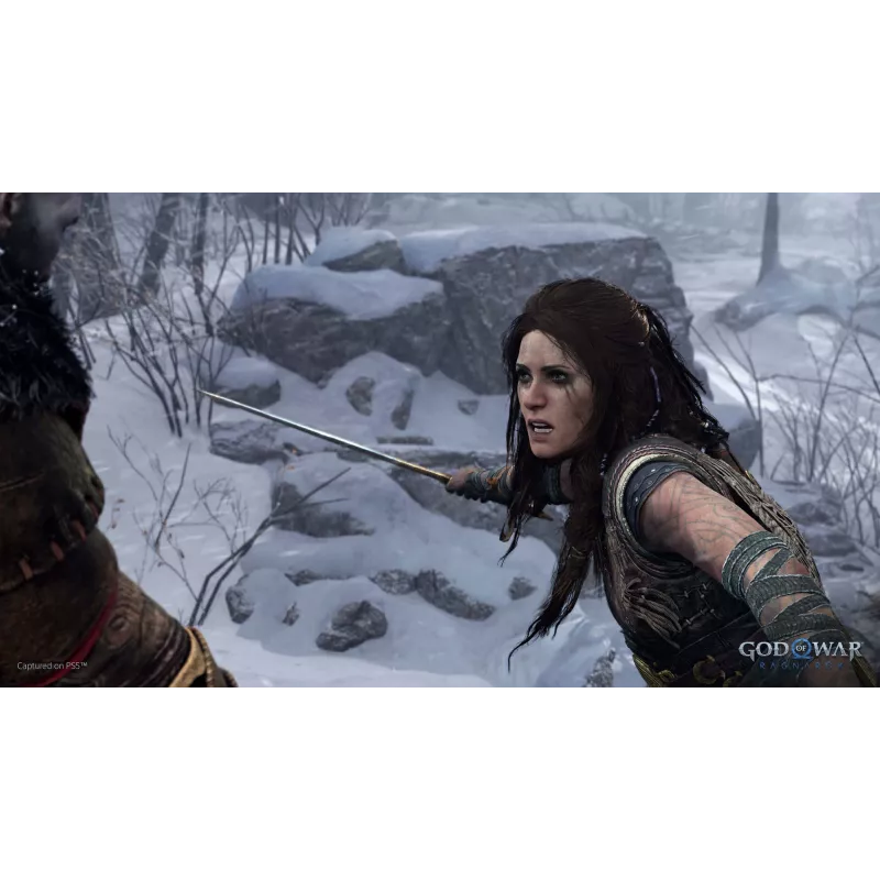 Sony God of War Ragnarök, PlayStation 5, M (Mature), Physischer Datenträger