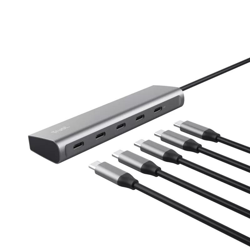 Trust Halyx USB 3.2 Gen 1 (3.1 Gen 1) Typ-C Silber