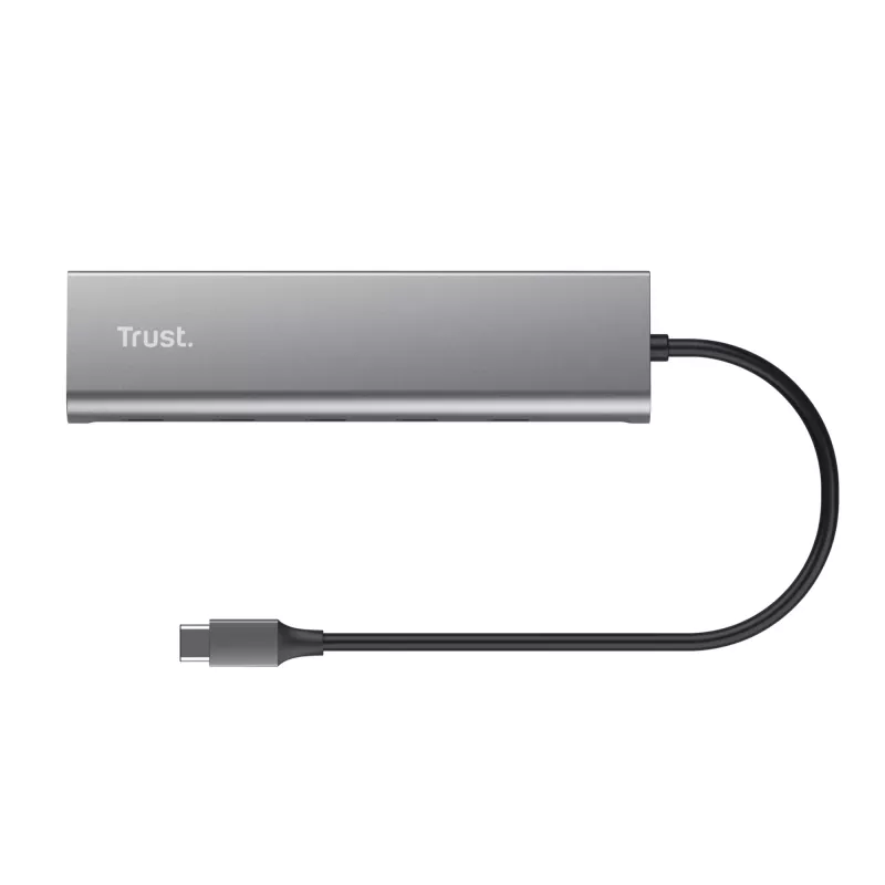 Trust Halyx USB 3.2 Gen 1 (3.1 Gen 1) Typ-C Silber
