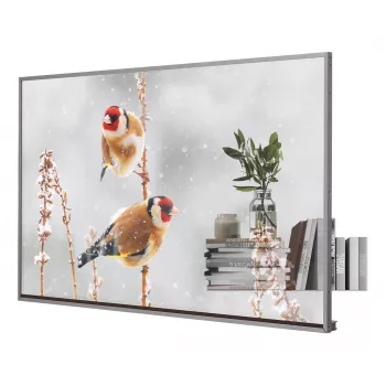 LG 55EW5P-M Signage Display 139,7 cm (55 Zoll) OLED 600 cd/m² Full HD Silber Touchscreen 18/7