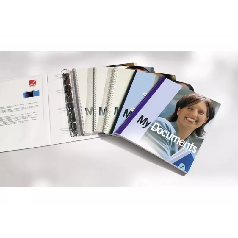 GBC FileStrips PVC Abheftstreifen WireBind und ClickBind, A4, transparent (100 Stück)