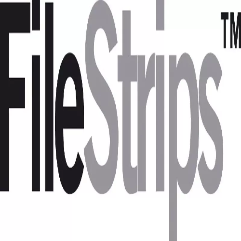 GBC FileStrips PVC Abheftstreifen CombBind/WireBind, A4, 300 mic, transparent (100 Stück)