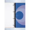 GBC FileStrips PVC Abheftstreifen CombBind/WireBind, A4, 300 mic, transparent (100 Stück)