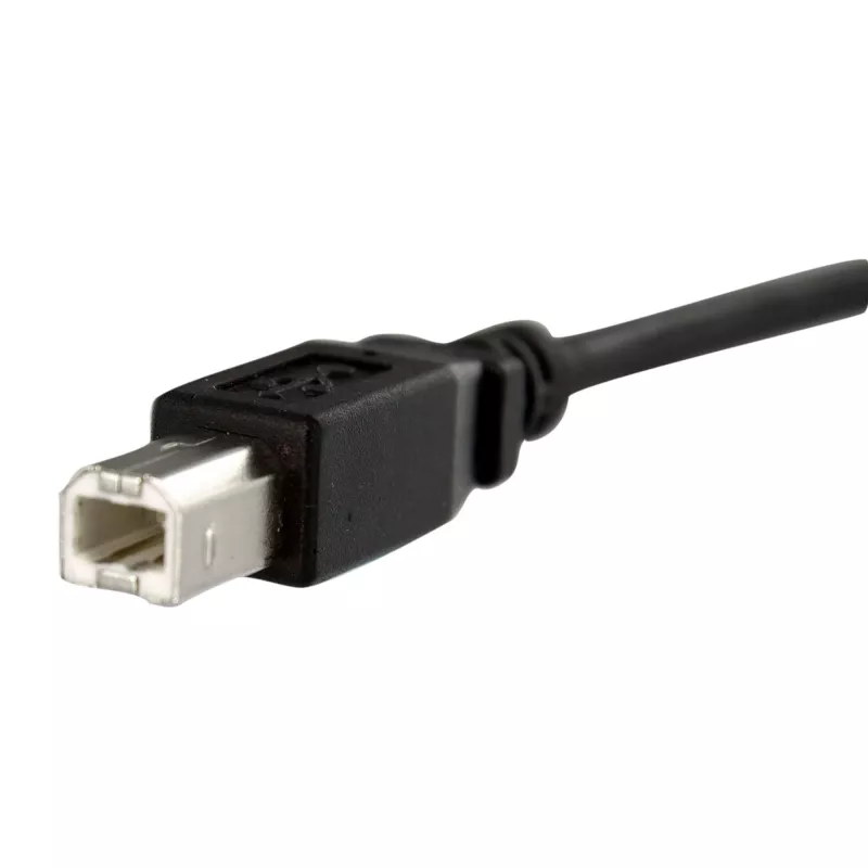 StarTech.com 1 ft Panel Mount USB-Kabel B auf B – F/M, 0,3 m, USB B, USB B, USB 2.0, 0,48 Gbit/s, Schwarz