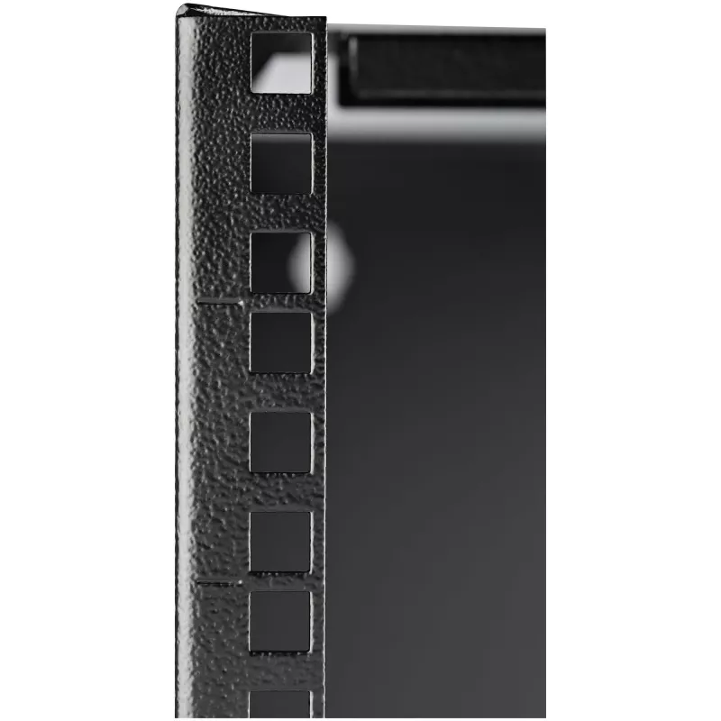 StarTech.com 8U Wandmontage Netzwerk-Rack - 36 cm tief (Low Profile) - 48 cm (19 inch) Patch Panel Halterung für flache Server- und IT-Geräte, Netzwerk-Switches - 36 kg Tragfähigkeit, Schwarz