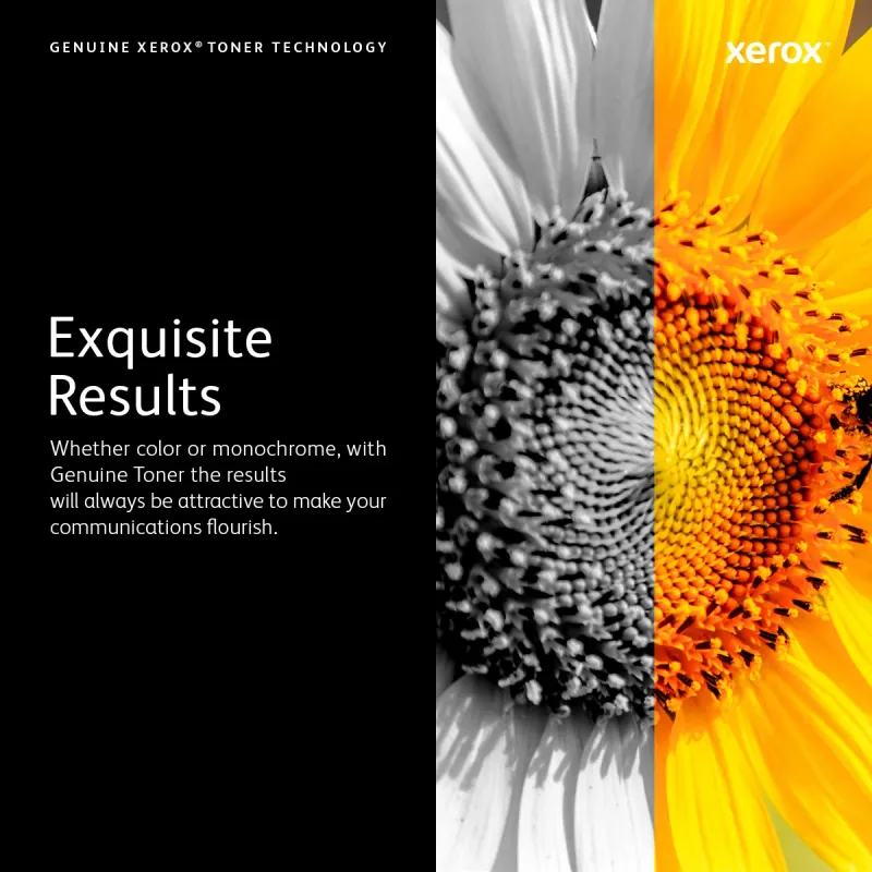 Xerox Trommeleinheit, 30000 Seiten, 1 Stk.