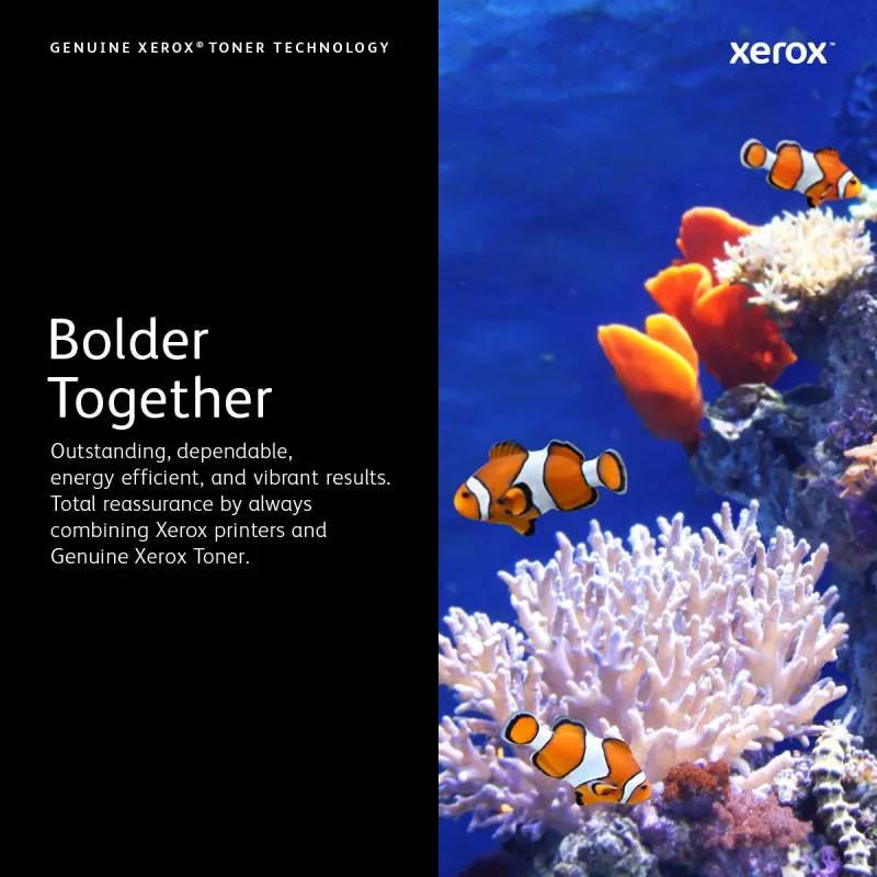 Xerox 106R02239 Tonerkartusche 1 Stk. Original Gelb