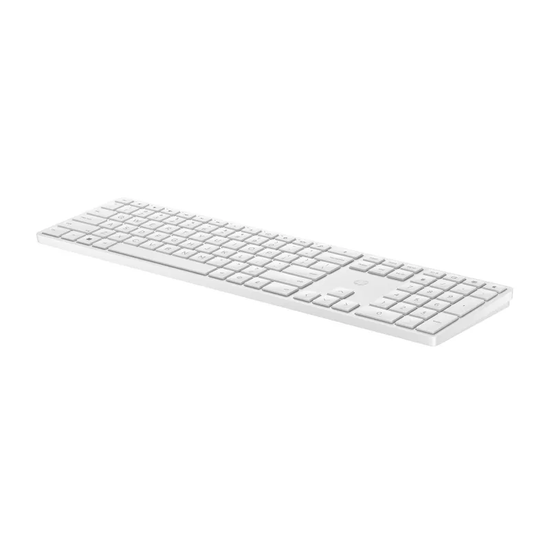 HP 450 Programmierbare kabellose Tastatur, Full-Size (100%), Kabelgebunden und kabellos, RF Wireless + USB, Schwarz