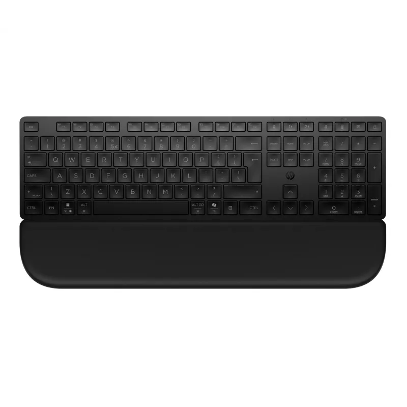 HP Multi-DevDual-ModeKBDwPlm EMEA-INTL E Tastatur Schwarz