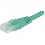 Hypertec 244710-HY Netzwerkkabel Grün 1 m Cat6 U/UTP (UTP)