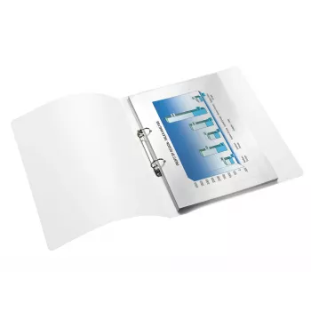 Leitz 42570023 Ringbuch A4 Metallic, Rose
