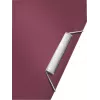 Leitz Erweiterbare Konzertina-Projektmappe aus PP, A4, Polypropylen (PP), Rot, 250 Blatt, 80 g/m², 6 Fächer