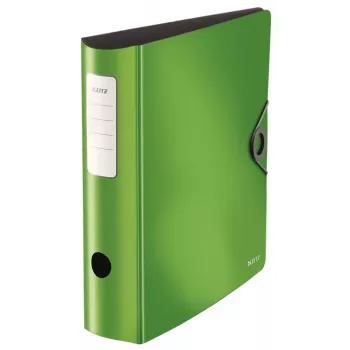 Leitz 10471050 Ringordner A4 Grün