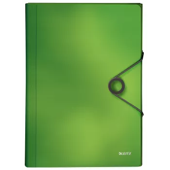 Leitz Project File Solid PP, A4, Polypropylen (PP), Grün, 250 Blatt, 80 g/m², Gummizug