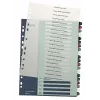 Leitz Index PC Printable 1-20 Style PP A4+, Numerisches Tab-Register, Polypropylen (PP), Mehrfarbig, Hochformat, A4 Maxi, 245 mm