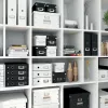 Leitz Box Click & Store WOW Cube Large Aufbewahrungsbox, Fuchsia, Karton, 320 mm, 360 mm, 310 mm