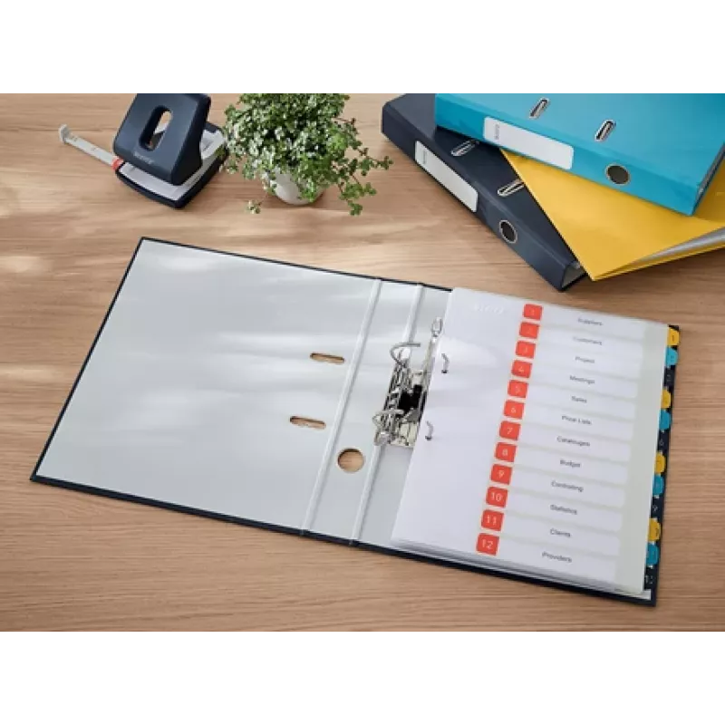 Leitz Cosy Soft Touch Ordner 50 mm, A4, grau