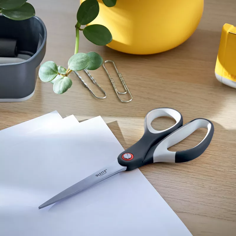 Leitz Cosy Titanium Büroschere 205 mm, Erwachsene, Gerader Schnitt, Einzeln, Grau, Edelstahl, Büroschere