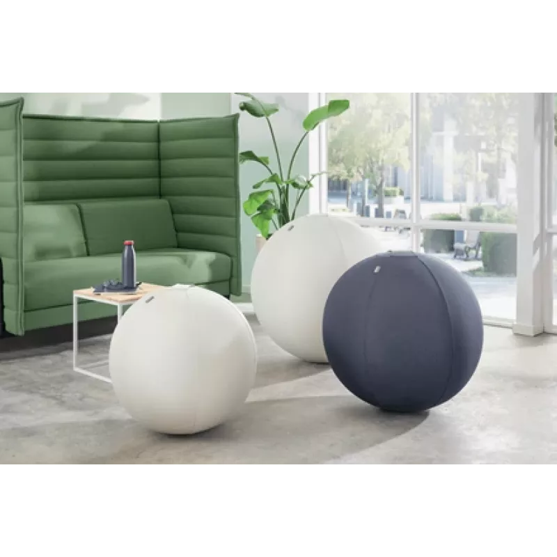 Leitz Ergo Aktiver Sitzball mit Stoppfunktion 65 cm, Grau, Full-size, 150 kg, Erwachsene, Adult, TÜV