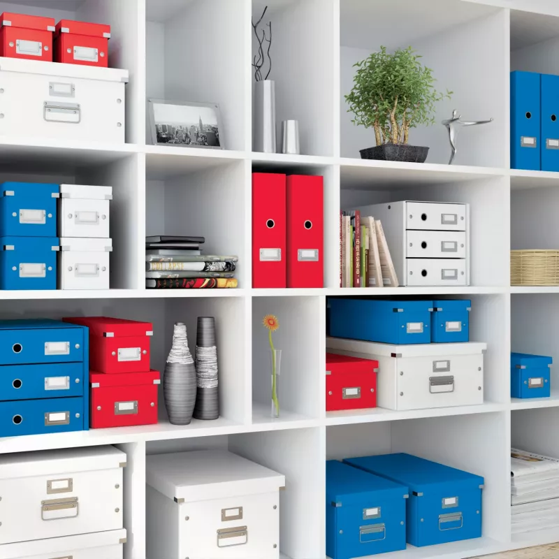 Leitz Click & Store WOW Medium Organiser Box, Aufbewahrungsbox, Rot, Rechteckig, Karton, Monochromatisch, Innenbereich