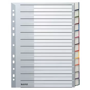 Leitz 12740000 Blanko-Tab-Index Karton Grau, Weiß