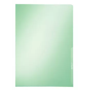 Leitz Premium Prospekthülle, A4, PVC, Grün, 0,15 mm (4100-00-55)