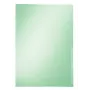 Leitz Premium Prospekthülle, A4, PVC, Grün, 0,15 mm (4100-00-55)