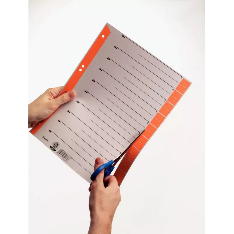Leitz 16520030 Tab-Index Numerischer Tab-Index Karton Blau, Grau