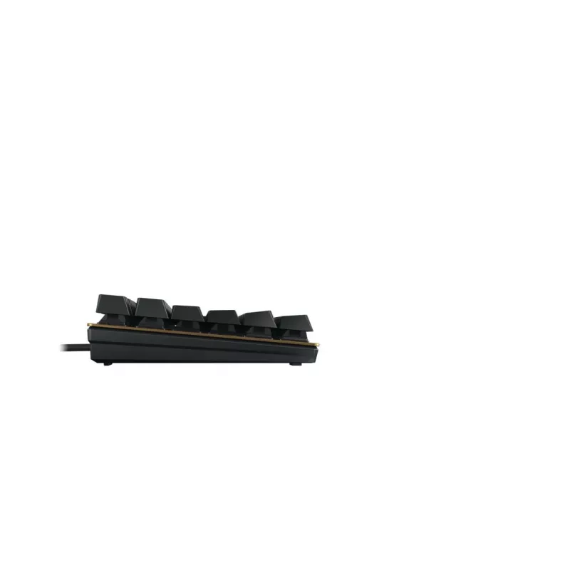 Tastatur CHERRY KC 200 MX USB QWERTY Mechanisch Schwarz Bronze 109 Tasten