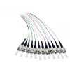 EFB Elektronik O3304.2 Glasfaser-Pigtail ST 50/125 µm OM2, 12-farbiger Satz, 2 m
