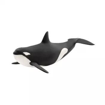 schleich WILD LIFE Schwertwal, 3 Jahr(e), Eis & Ozean, Wilde Tiere / Abenteuerspielzeug, Mehrfarbig, Kunststoff, 1 Stück(e)