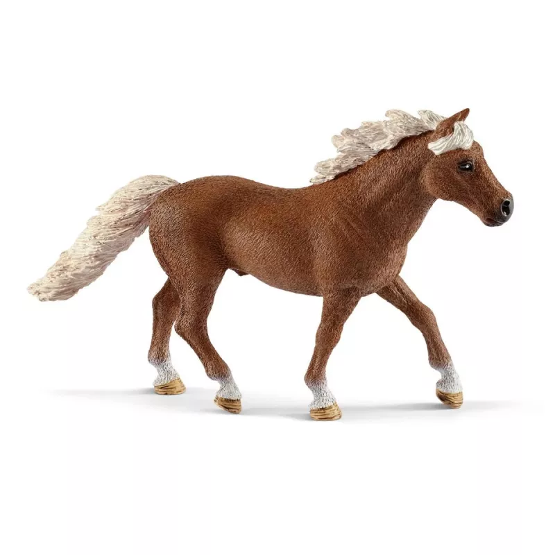 schleich Pony-Agility-Training, Agility, Bauernhoftiere/Bauernhofspielzeug, 3 Jahr(e), Mehrfarbig, Kunststoff