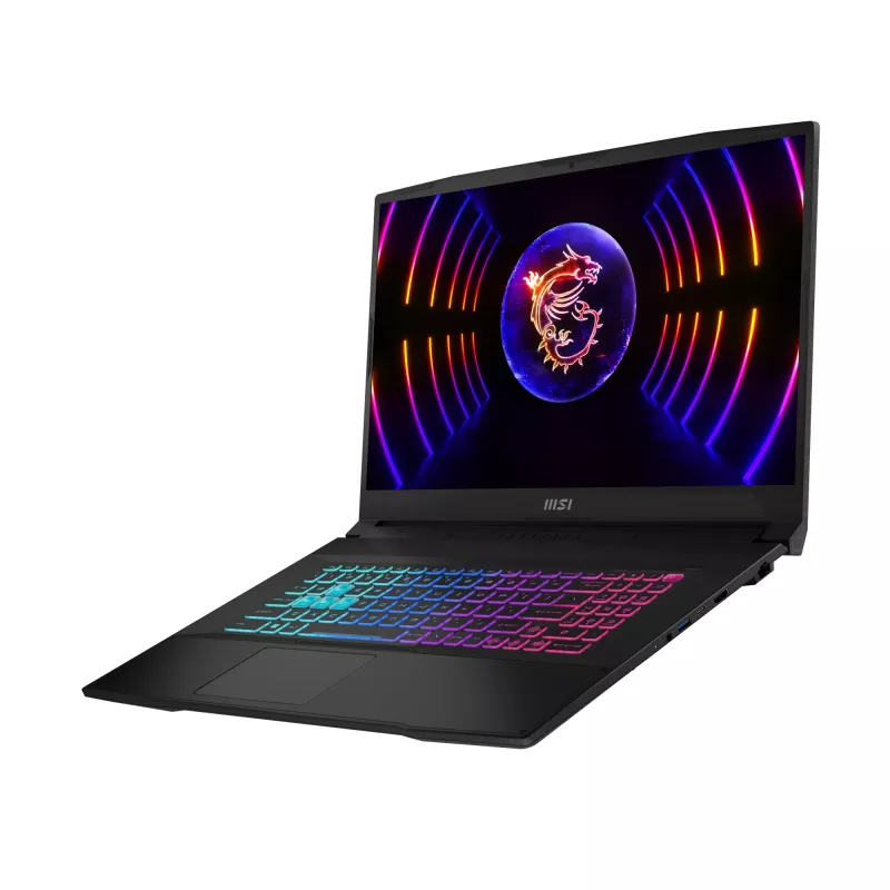 Laptop MSI Katana 17 B13VFK-1094 17,3 Zoll Intel Core i7 16GB RAM 1TB Windows 11