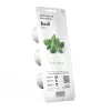EMSA Click & Grow Basilikum