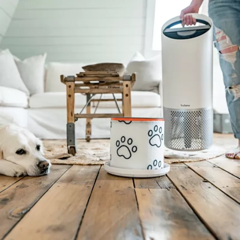 Leitz Pet 3-in-1 HEPA-Filtertrommel für TruSens Z-2000 / Z-2500 Medium Luftreiniger