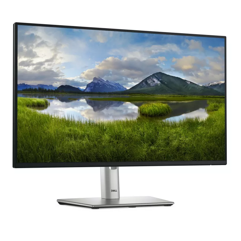 DELL Pro Plus P2425HE Computer-Monitor 60,5 cm (23,8″) 1920 x 1080 Pixel Full HD LCD Schwarz