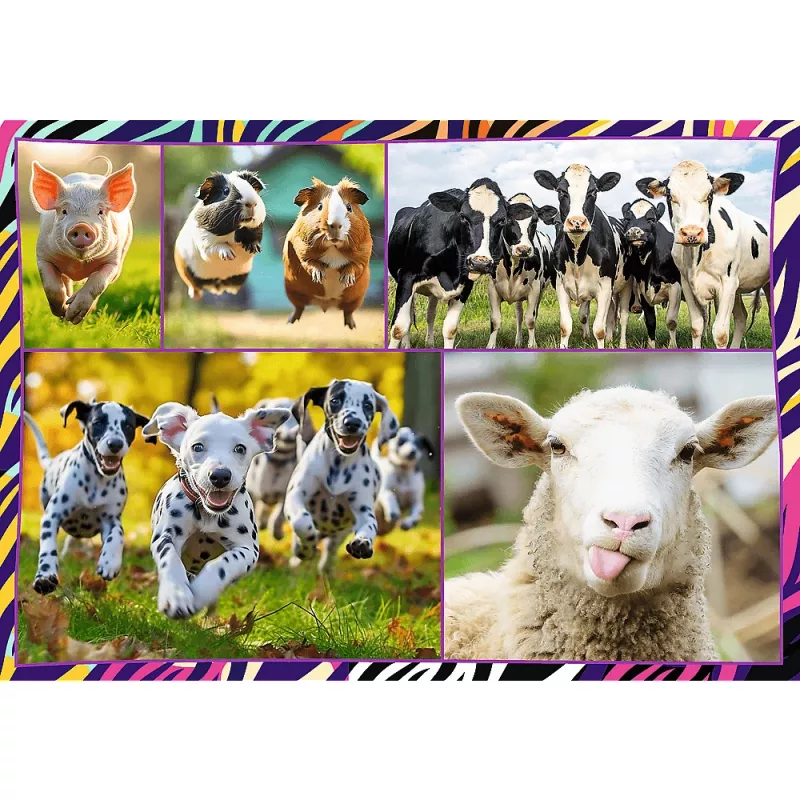 Puzzle TREFL Funny — 4 x 250 Teile, Themen-Set für Kinder