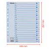 Esselte 100149 Tab-Index Polypropylen (PP) Weiß