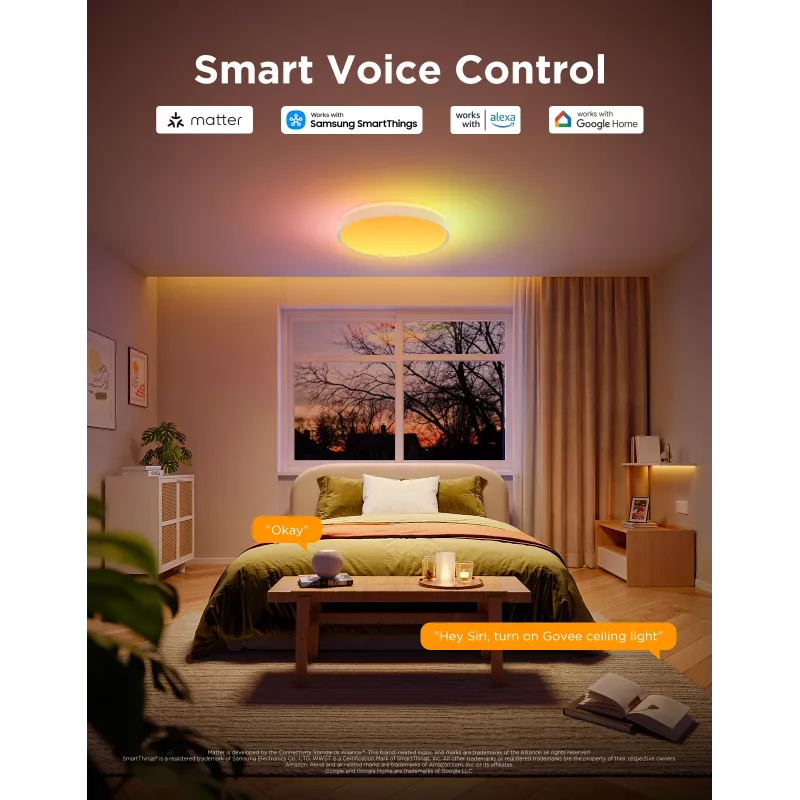 Govee H60A6 Smart Deckenleuchte Pro RGBICWW, 38 cm