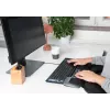 Mousetrapper Delta Maus Grau Extended USB-A